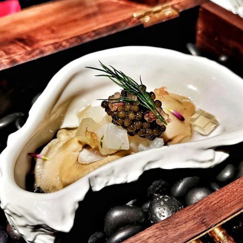Elite-Michelin-Grade-Ceramic-Servingware-Collection-Excellence-in-Fine-Dining-Hospitality Koda Fashion & Home