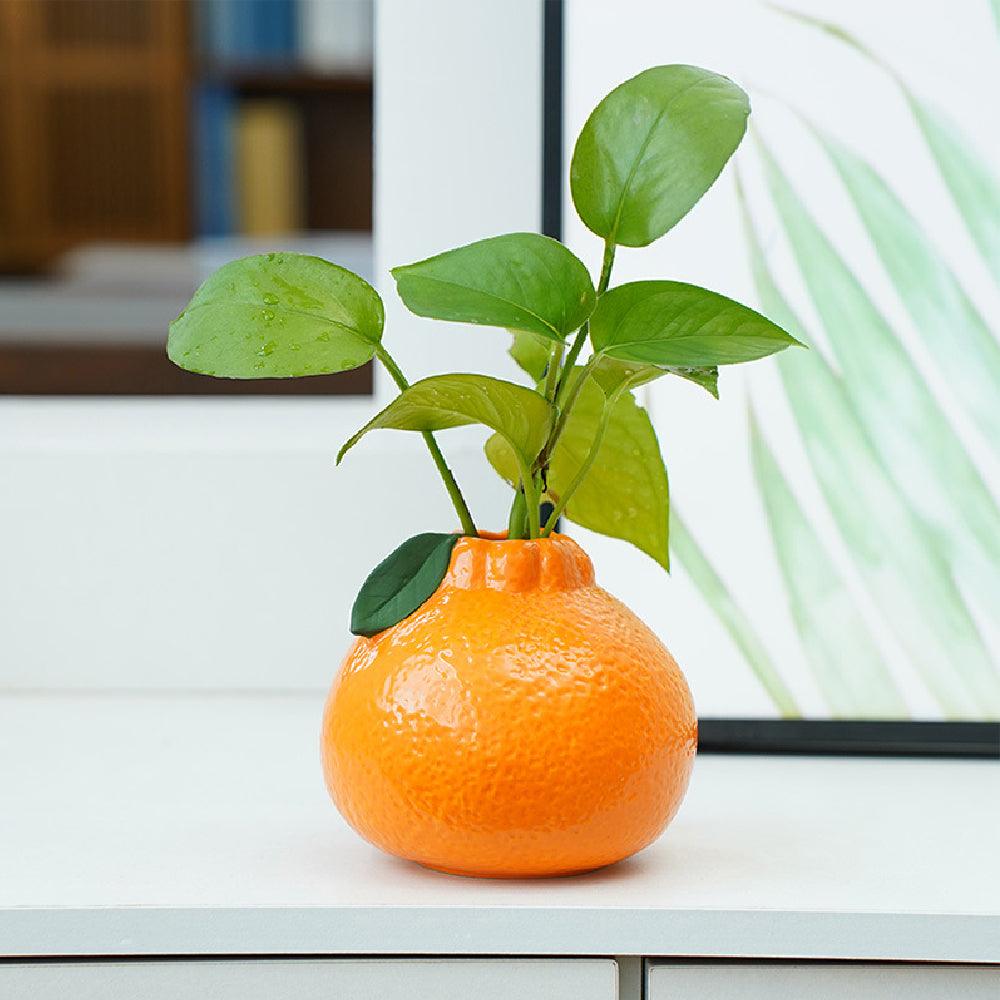 Orange Fruit Ceramic Vase - Koda Store