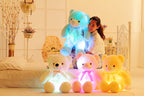 Creative Light Up LED Teddy Bear Stuffed Animals Plush Toy Colorful Glowing Christmas Gift For Kids Pillow - Koda Store - Free Shipping