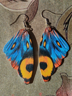 Amber Skydance Earrings - Flame Edition Shop name