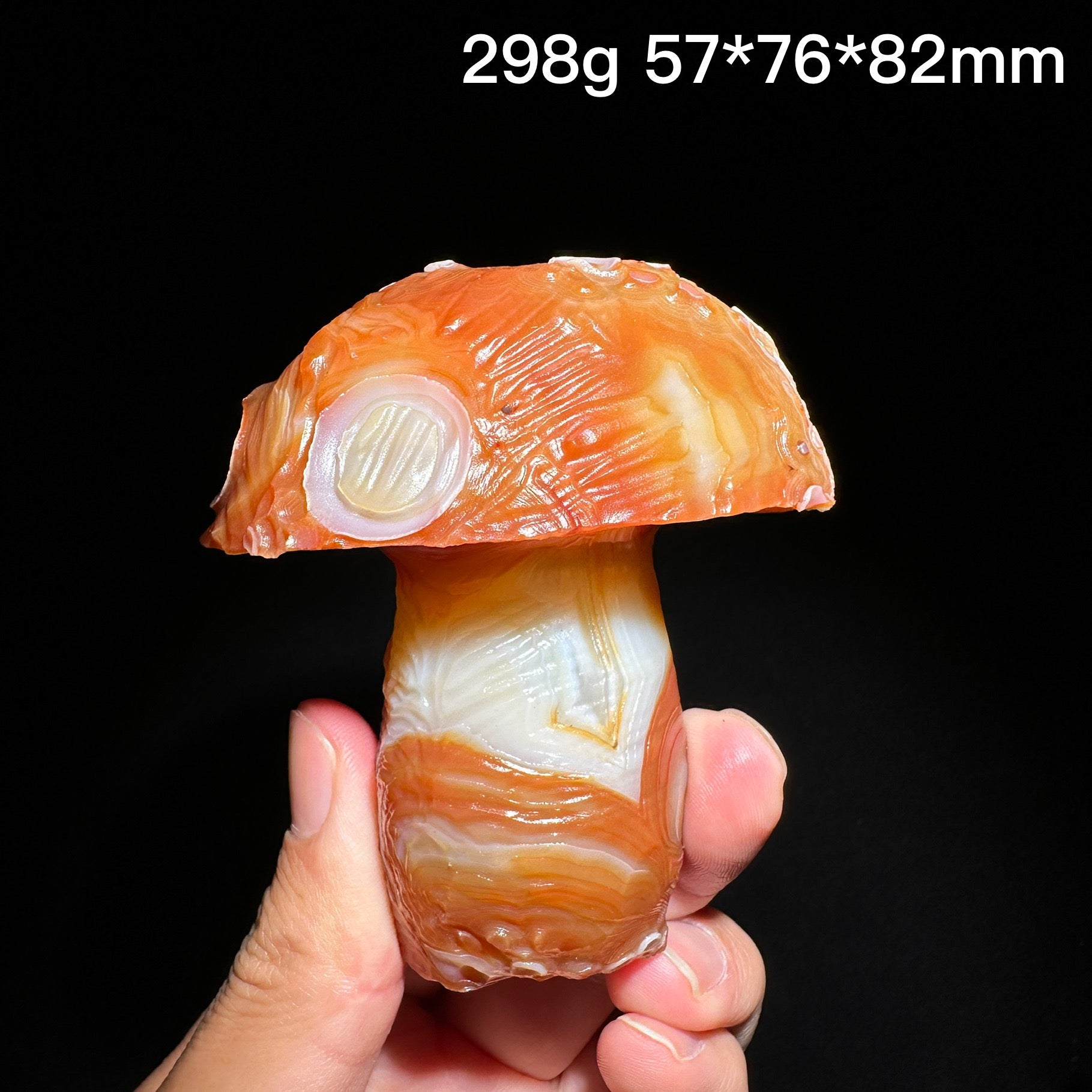 Natural Alxa Gobi Eye Agate Mushroom Healing Stone - KODA STORE | Fashion x Homewares