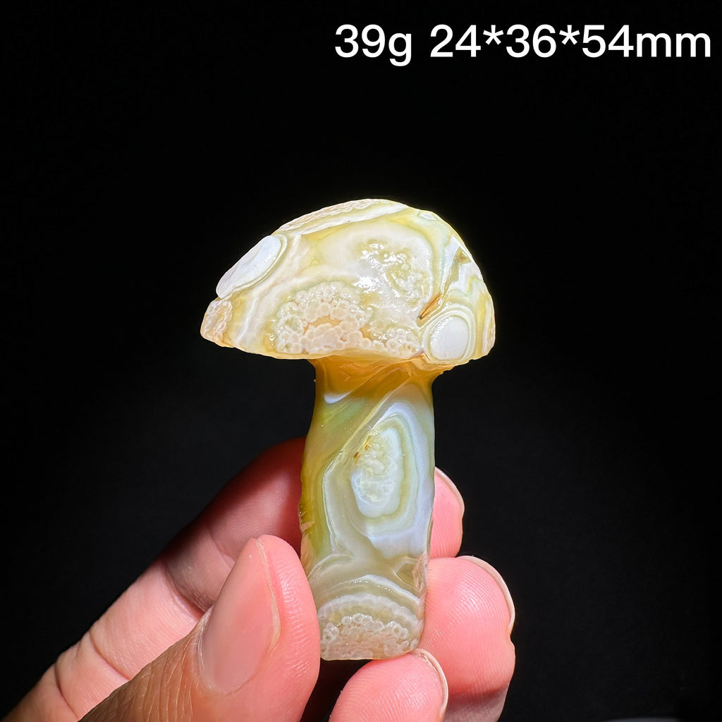 Natural Alxa Gobi Eye Agate Mushroom Healing Stone - KODA STORE | Fashion x Homewares
