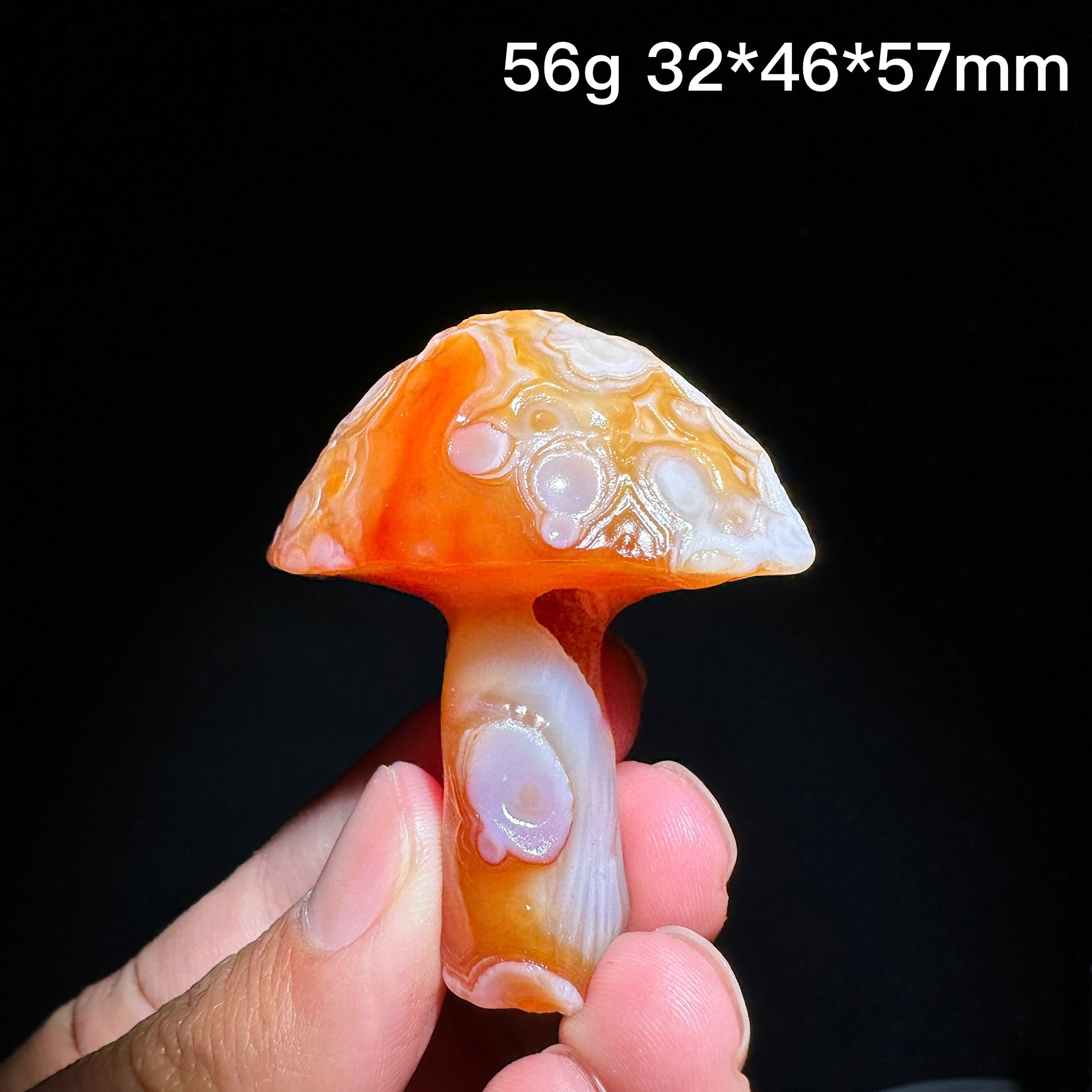 Natural Alxa Gobi Eye Agate Mushroom Healing Stone - KODA STORE | Fashion x Homewares
