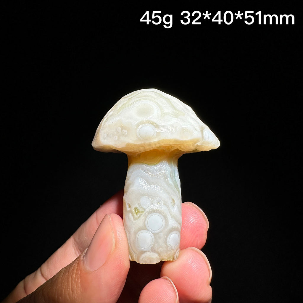 Natural Alxa Gobi Eye Agate Mushroom Healing Stone - KODA STORE | Fashion x Homewares