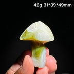Natural Alxa Gobi Eye Agate Mushroom Healing Stone - KODA STORE | Fashion x Homewares