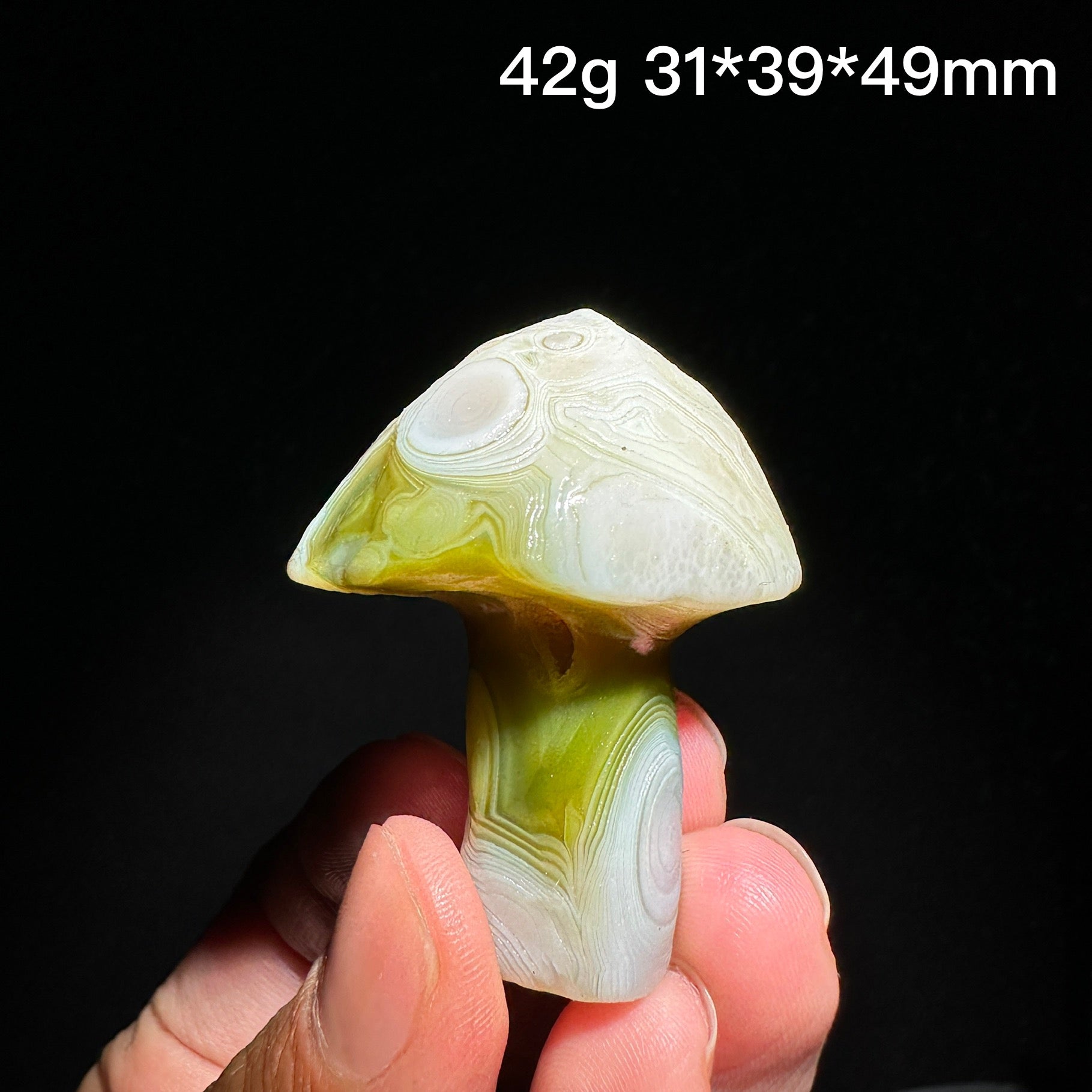 Natural Alxa Gobi Eye Agate Mushroom Healing Stone - KODA STORE | Fashion x Homewares