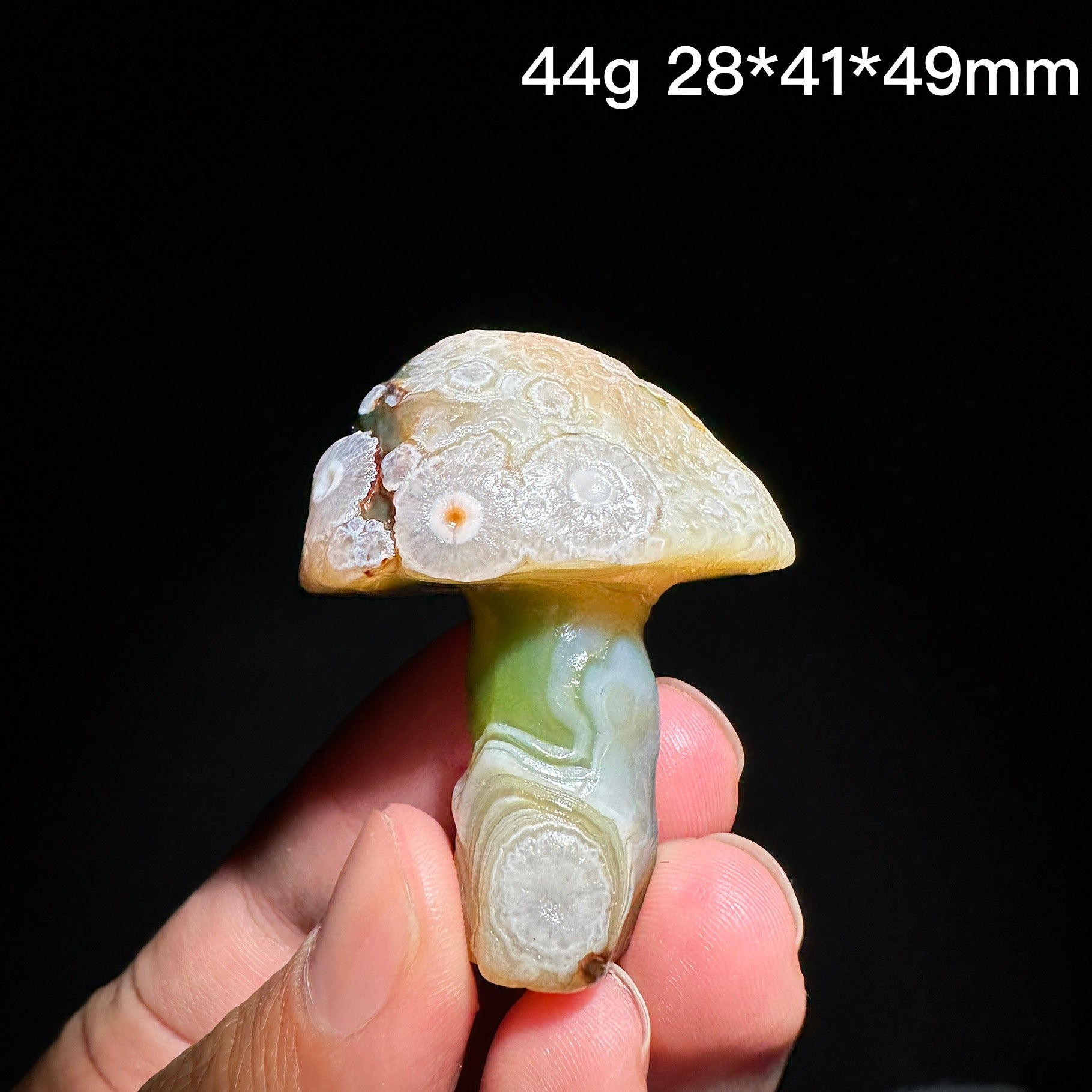 Natural Alxa Gobi Eye Agate Mushroom Healing Stone - KODA STORE | Fashion x Homewares